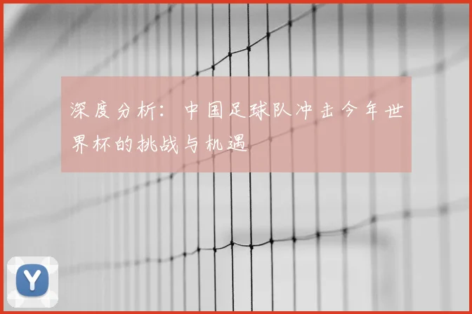 深度分析：中国足球队冲击今年世界杯的挑战与机遇