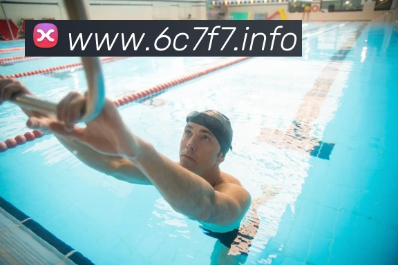 九游ag网页版直接进入平台生态图